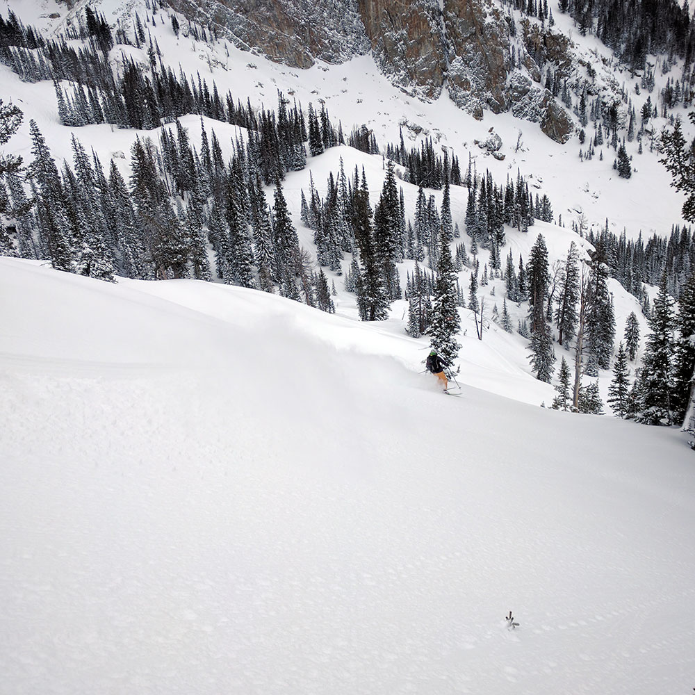 ali-zimmer-skiing-2