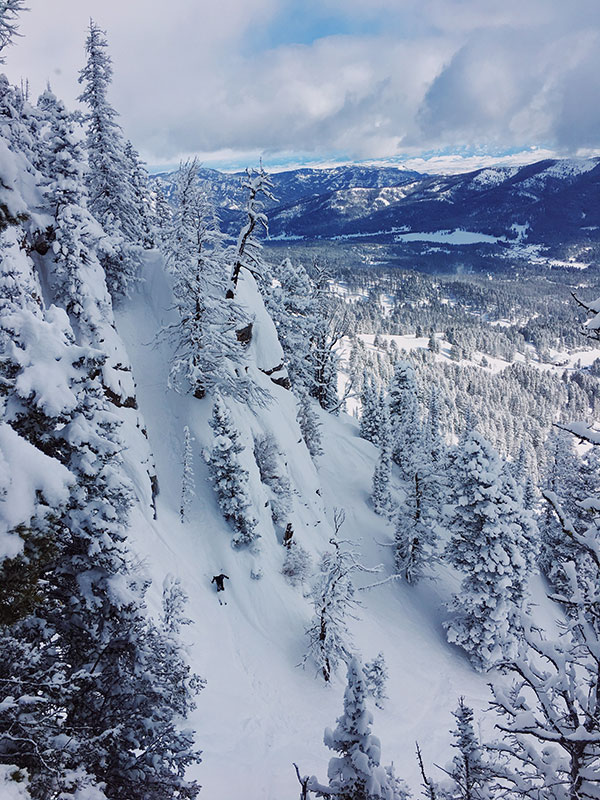 kelsey birkeland trees